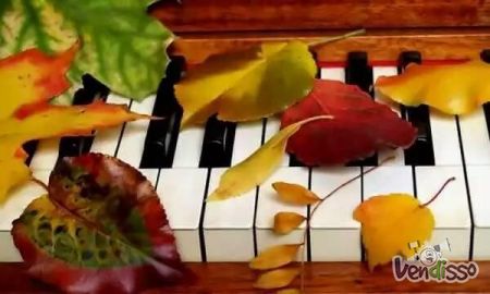 Aulas individuais de piano