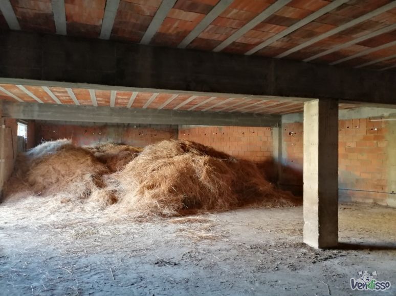 IMG_20201023_174031_resized_20201023_055155785