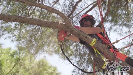 Precisam-se de Operadores de Motosserra em Altura