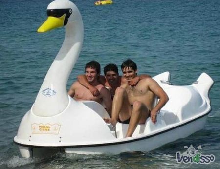 Barcos a Pedais (Gaivotas) Homolgadas CE