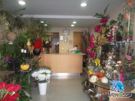 Trespasse de loja de rua (50 m2) no centro de Avintes