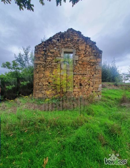 Quinta da Aveleira com 7.000 m2 em Vila Pouca da Beira