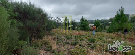 Terreno rústico com 1,300 m2 em Turjal, Oliveira do Hospital