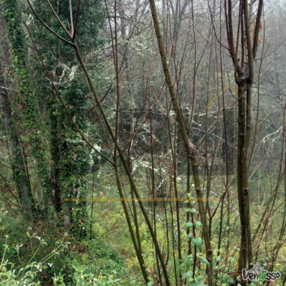 Post DPLI IMÓVEIS (1080 x 1080 px) (1080 x 1080 px) (89)