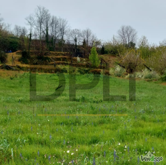 Post DPLI IMÓVEIS (1080 x 1080 px) (1080 x 1080 px) - 2025-04-22T152927.522