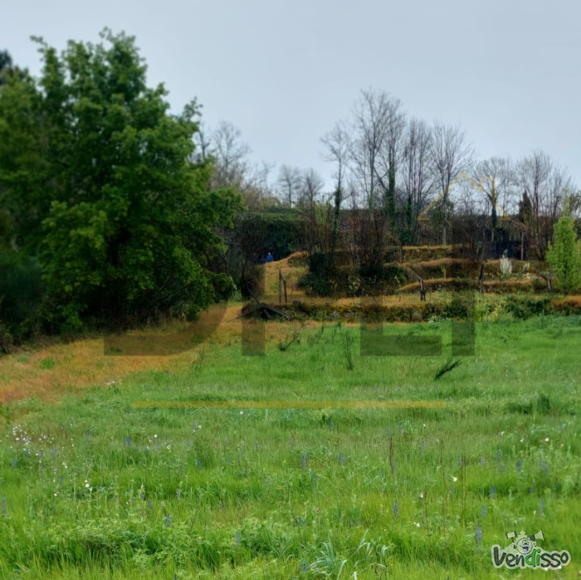 Post DPLI IMÓVEIS (1080 x 1080 px) (1080 x 1080 px) - 2025-04-22T152951.396