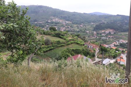 1 Moradia com Terreno de 2.650 m² - Santa Marinha do Zêzere, Baião