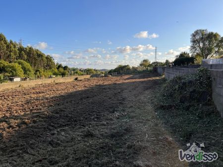 1 Excelente Terreno Plano com 667 m² - Ideal para Construir a Sua Moradia!