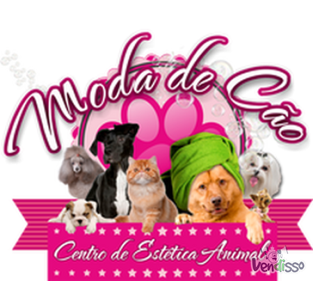Tosquia e Banho Ozono Cães e Gatos