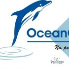 oceangranitos, Lda - avatar